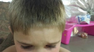 the barber
