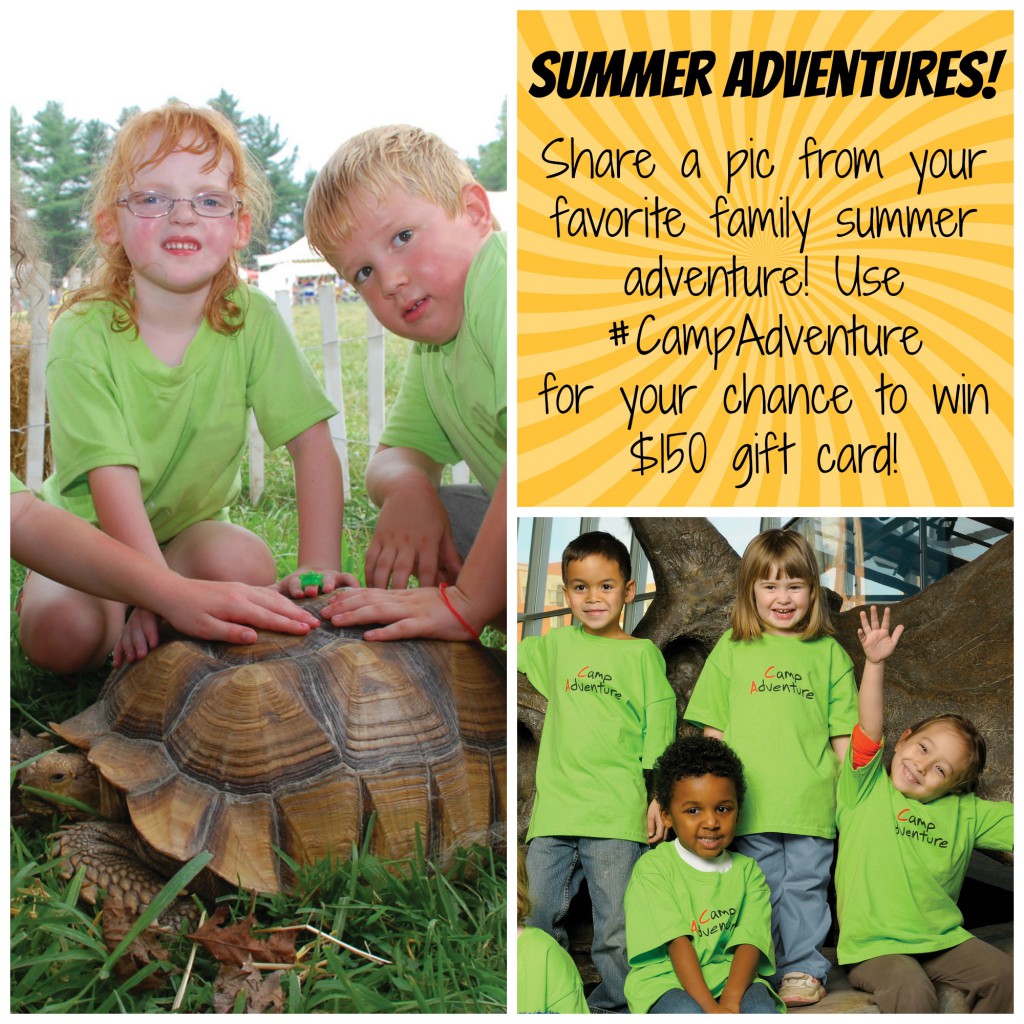 CAmp Adventure contest