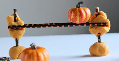 kiddieacademy_fall_stem